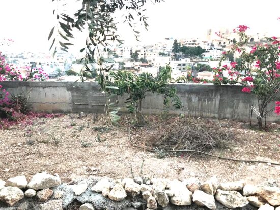 Mur vide à Shefaramer Palestine 2022.jpeg